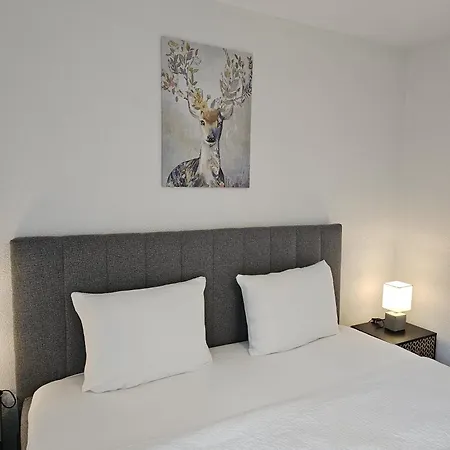 Apartment Habibi - Aare Jungfrau Ag Wilderswil
