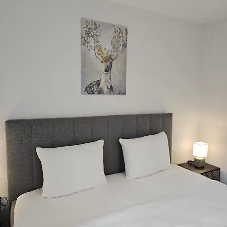 Apartment Habibi - Aare Jungfrau Ag
