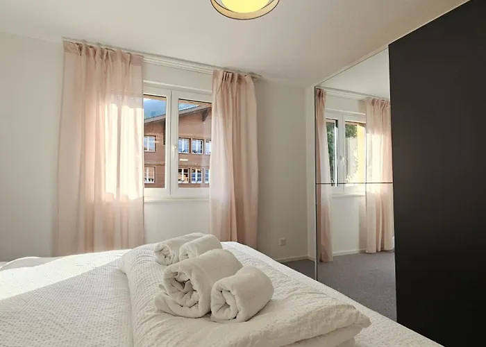 Habibi - Aare Jungfrau Ag Wilderswil