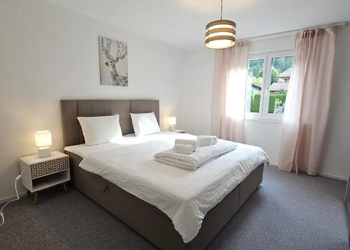 Habibi - Aare Jungfrau Ag *